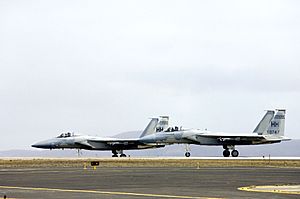 Two F-15A Eagles from the 199th Fighter Squadron at Naval Air Station Keflavik