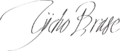 Tycho Brahe Signature