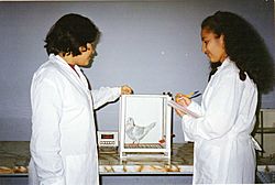 UNMSM PsiExperimental 1998 2