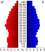 USA Henry County, Tennessee.csv age pyramid