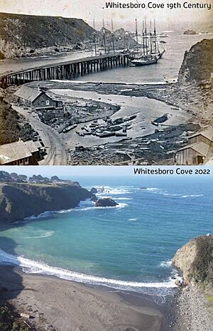 Whitesboro Then and Now