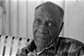 Willie Wells Baseball