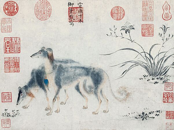 Xuande-salukis-092x0507 01lg