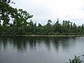 Île Boishébert de la pointe Wilson