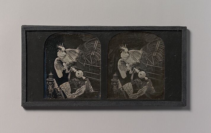 -Stereograph Still-life with Cockatoo, Ornamental Ball, Lace, Statuette- MET DP700250