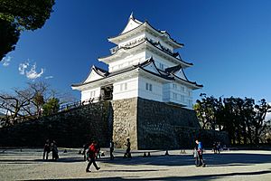 161223 Odawara Castle Odawara Japan01s3