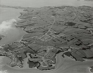 Aerial view of Pakuranga, April 1961
