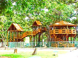 Aguadilla Banyan Treehouse