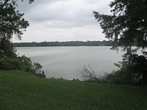 Another look at the oxbow lake at Lake Providence, LA IMG 7400.JPG
