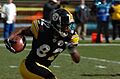 Antwaan Randle El 2006