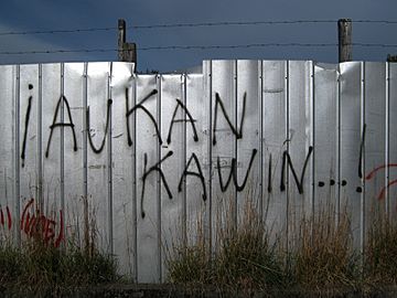 Aukan kawin griffitie mapuche