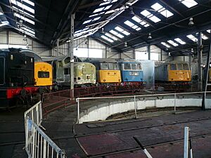 Barrow Hill Locomotives in Roundhouse