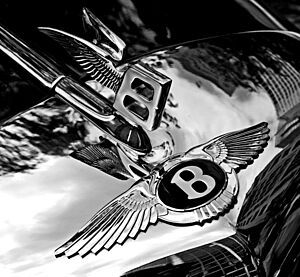 Bentley badge and hood ornament-BW