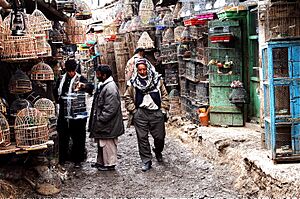 Bird Market Kabul