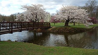 Bridge and trees near lake in Nomahegan Park NJ