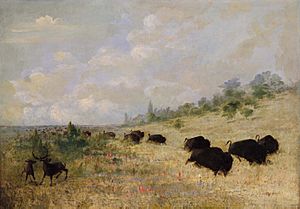 Buffalo and Elk in Texas- George Catlin