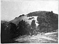 Bulletin 426 Plate XVII B Stone Mountain NC