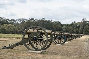 Cannons at Raymond