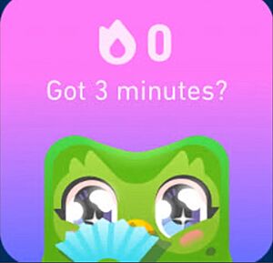Captura de pantalla de widget de Duolingo