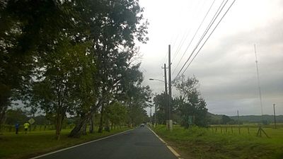 Carretera PR-694, Dorado, Puerto Rico (3)