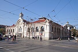 Central Market Hall in Sofia 2012 PD 07