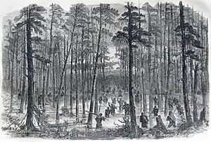 Charge of Weaver's Brigade Across the Salkehatchie.jpg