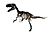 Complete skeleton of Torvosaurus white background.jpg