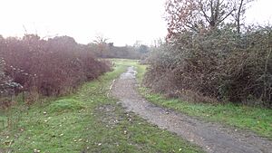 Croxley Common Moor 6