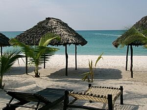 DarEsSalaam-KigamboniBeach