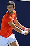 Djokovic EBN17 (26) (35046150944)