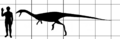 Elaphrosaurus size