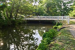 Feeder Canal and Bridge, Titusville, NJ