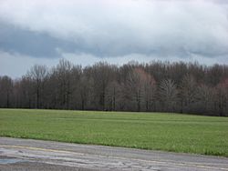 Fields at the McGuffey Homesite in northwestern Coitsville Township