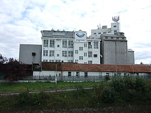 Flour Mill, Andover