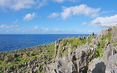 Fossilized coral pinnacles at Togo