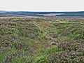 Fylingdales Moor