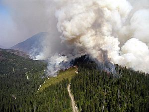 GNP Wildfires 2003
