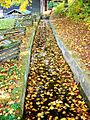 Gastonwaterway