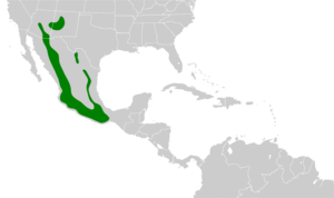 Glaucidium gnoma map.svg
