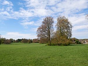 Goddington Park (02).jpg