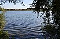 Godmanchester Nature Reserve, Roman Lake 4