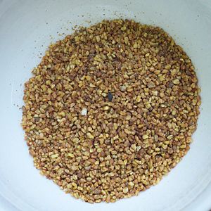 Grains de fagopyrum tataricum