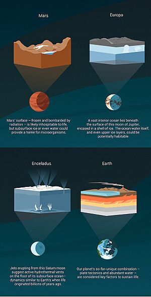 Habitable Worlds 2