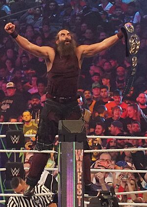 Harper SD Tag Team Champ WM34 (crop)