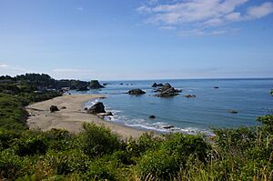 Harris Beach overlook July 2009