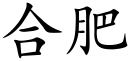 Hefei (Chinese characters).svg