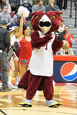 Hooter, the Temple mascot