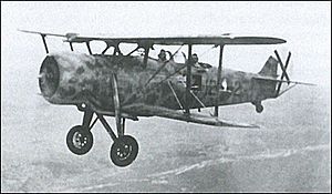 Italian IMAM Ro.37 reconnaissance aircraft in flight