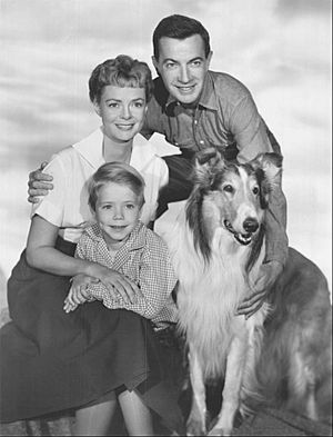 Lassie 1960 cast photo