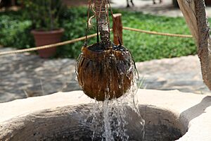 Leather bucket of a well
